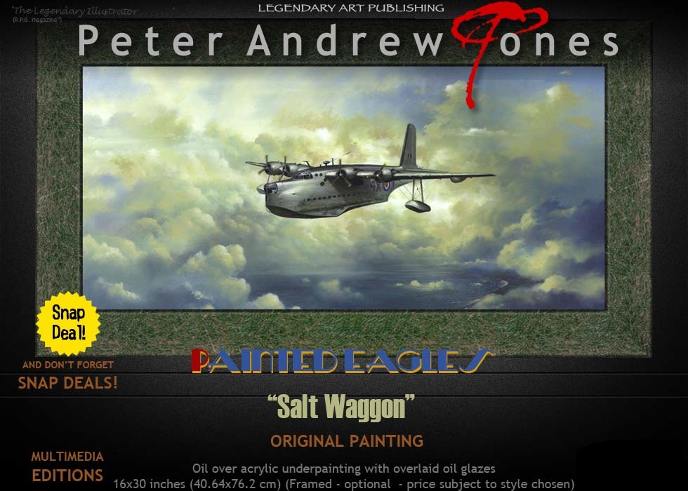 Peter Andrew Jones Painted Eagles Aviation Art Short Sunderland