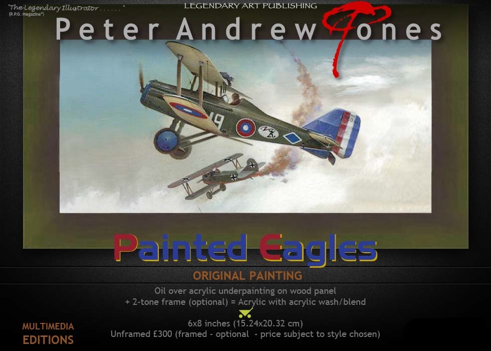 Peter Andrew Jones Painted Eagles Aviation Art Oil Painting and Limited Edition Print of American Air Service SE5a World War One Aviation