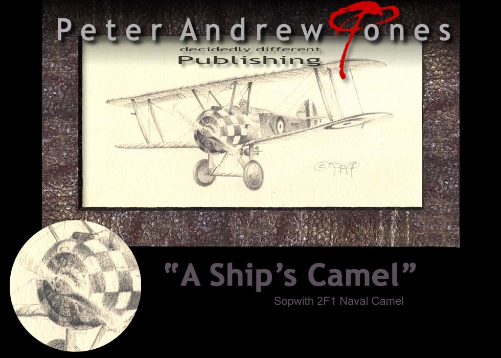 Peter Andrew Jones Painted Eagles Aviation Art Ship's Camel F1